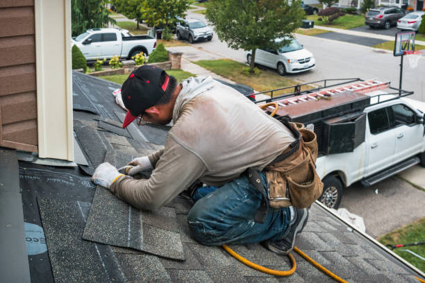 Professional Metal Roofing technician working in Hampton, IL